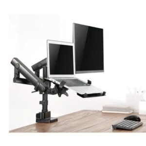 Dual Arm Desk