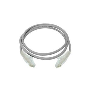 cat6